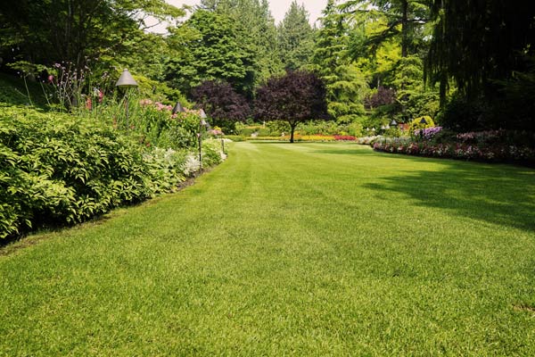 Bepflanzung und Rasen