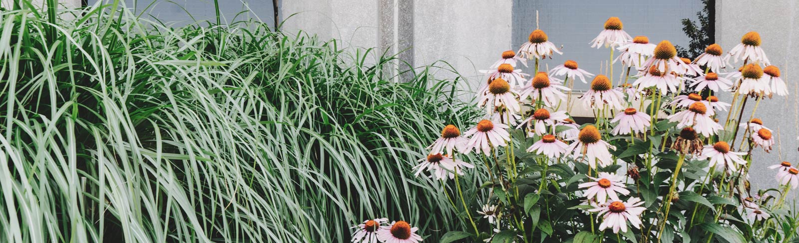 Garten Neugestaltung