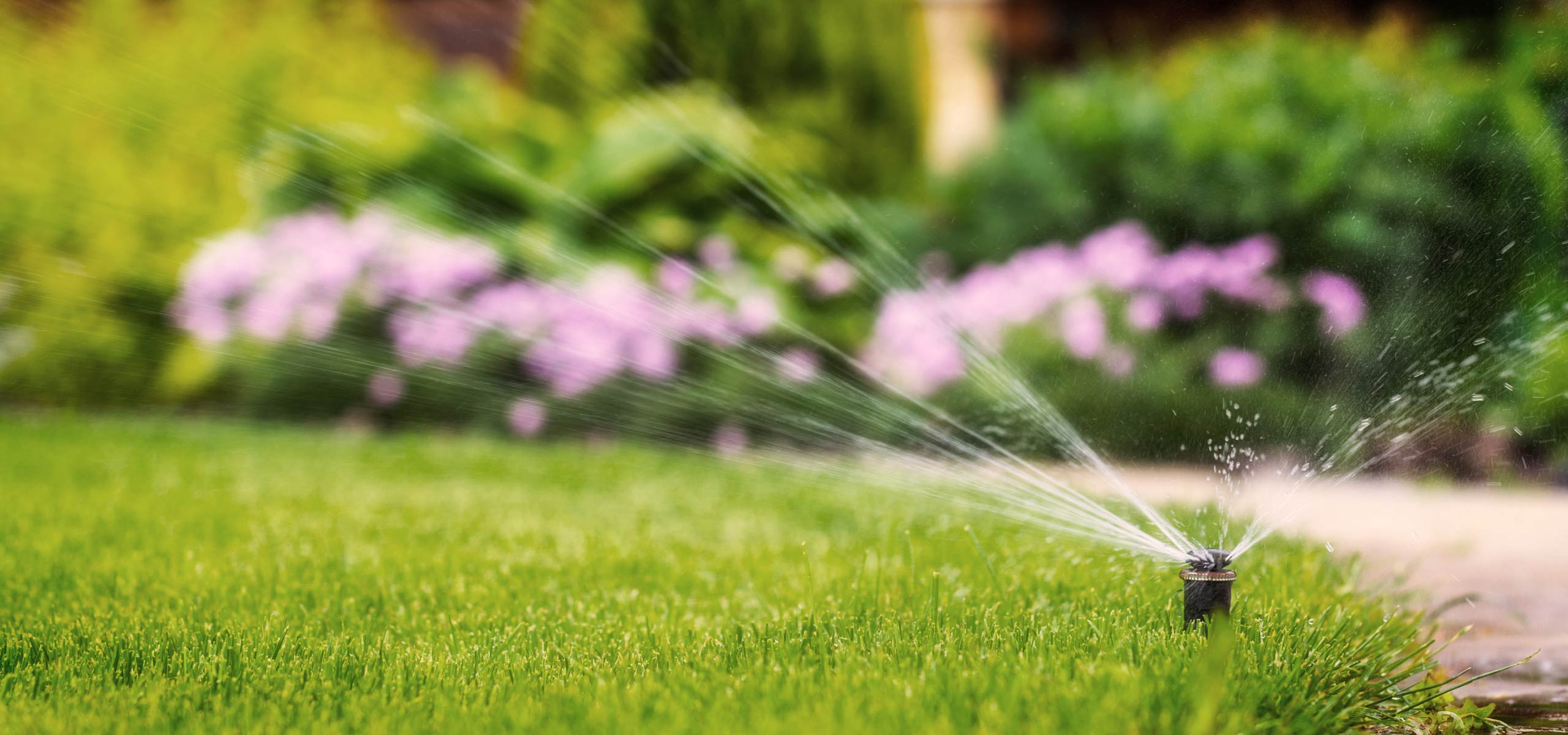 Automatische Bewässerungsanlagen